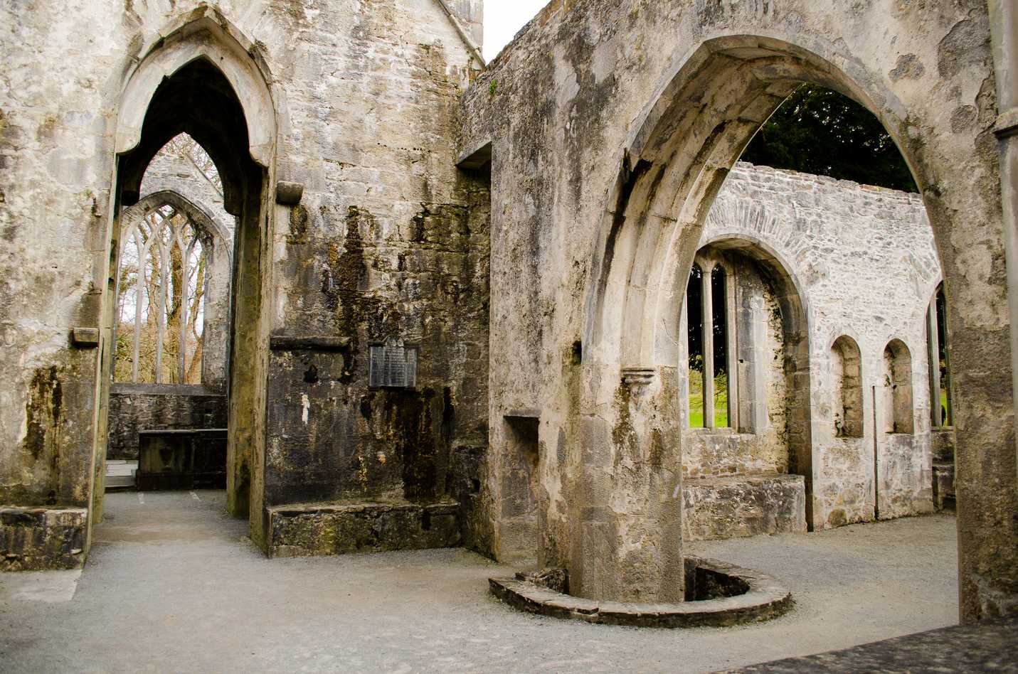 Muckross Abbey