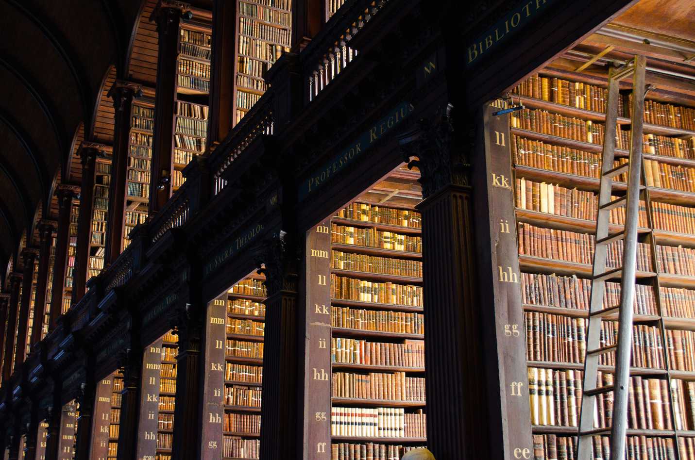 The many bookshelves of Trinity college library