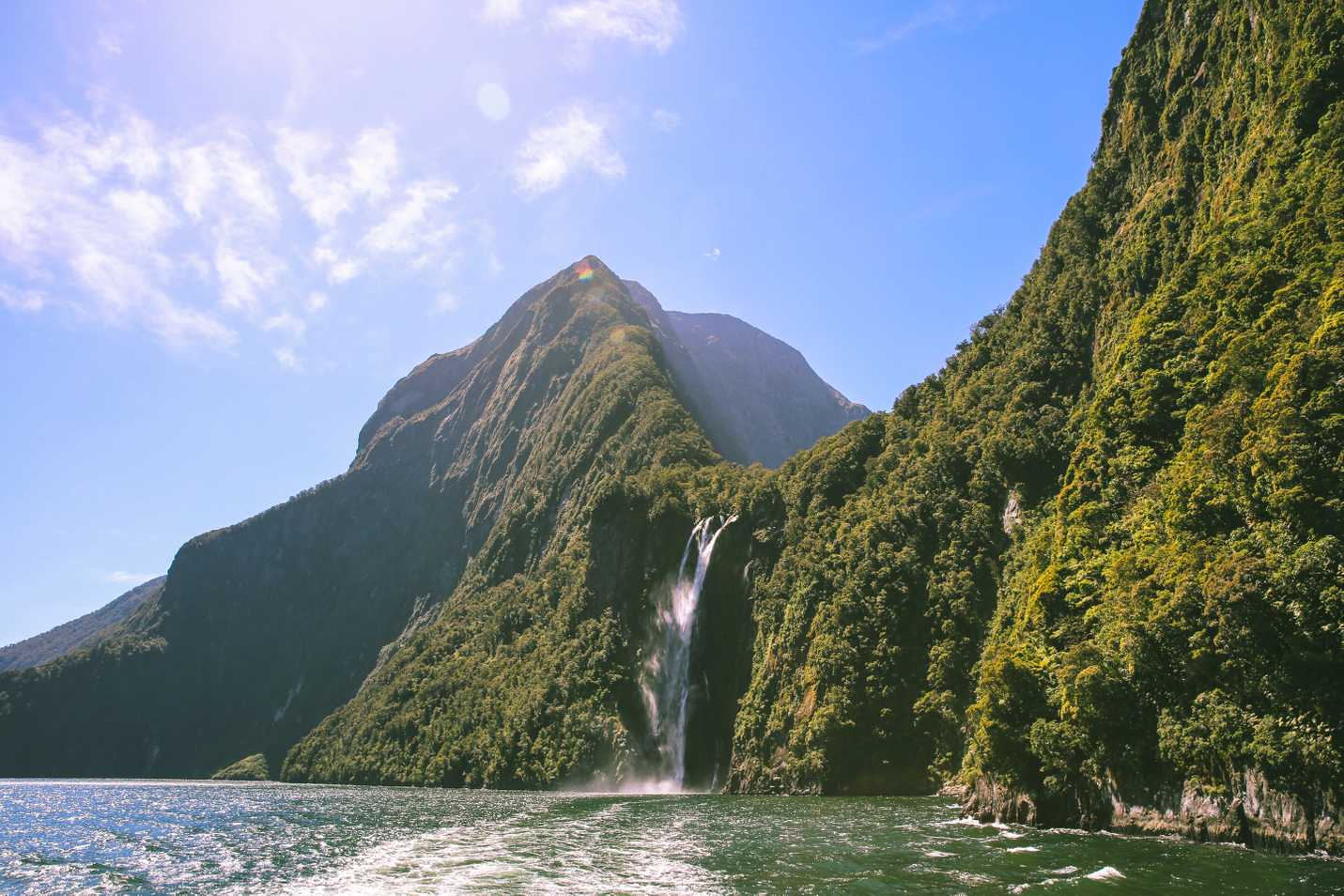 True prehistoric vibes at Milford Sound