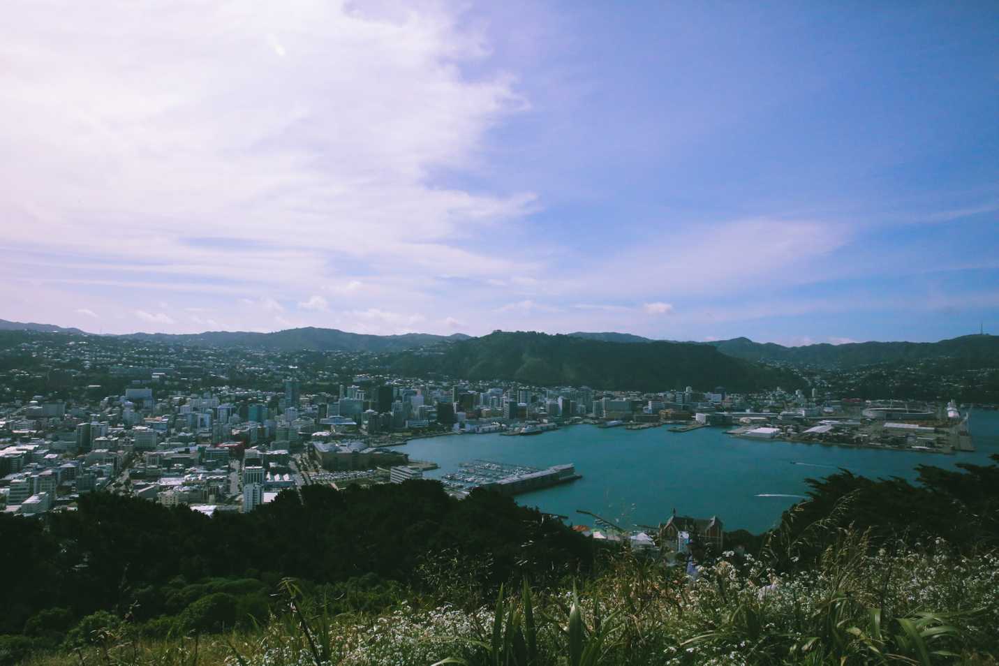 Mount Victoria lookout of Wellington