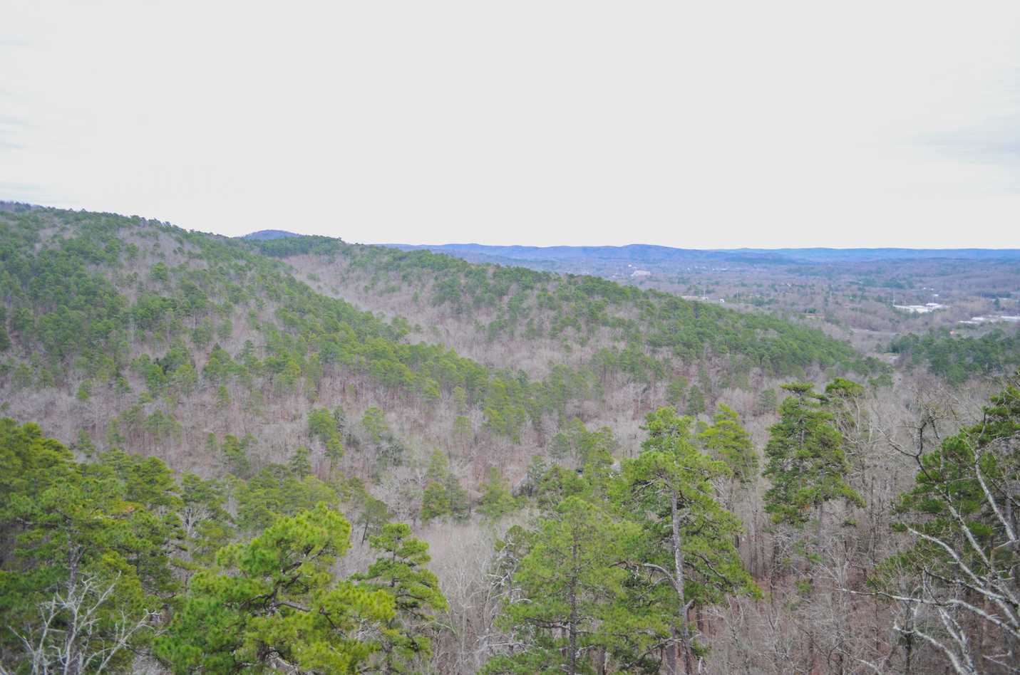 View at the top of Goat Rock Trail