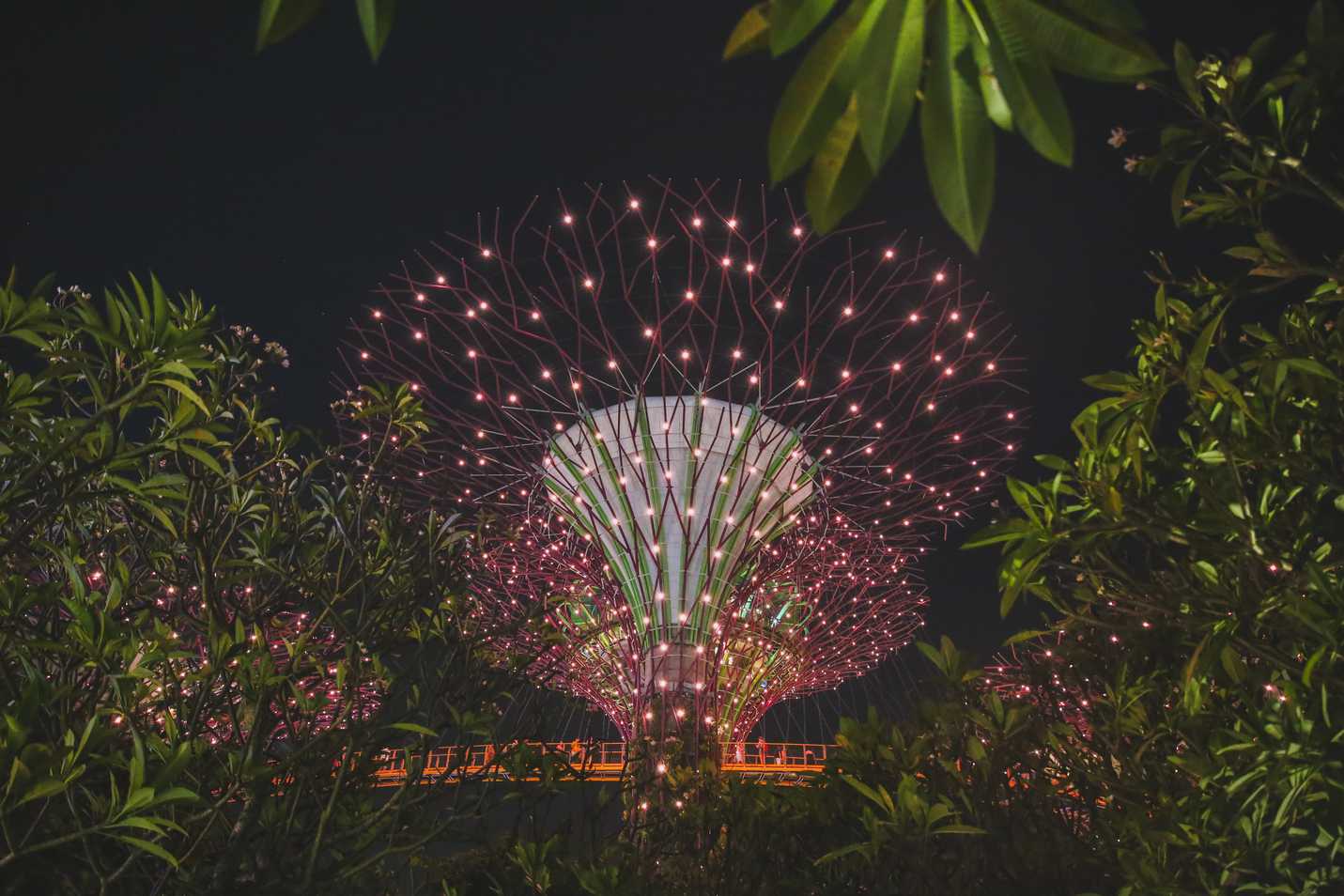 Light show just beginning at Gardens by the Bay