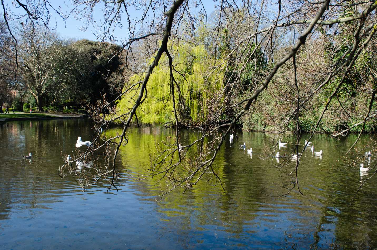 St. Stephens Green