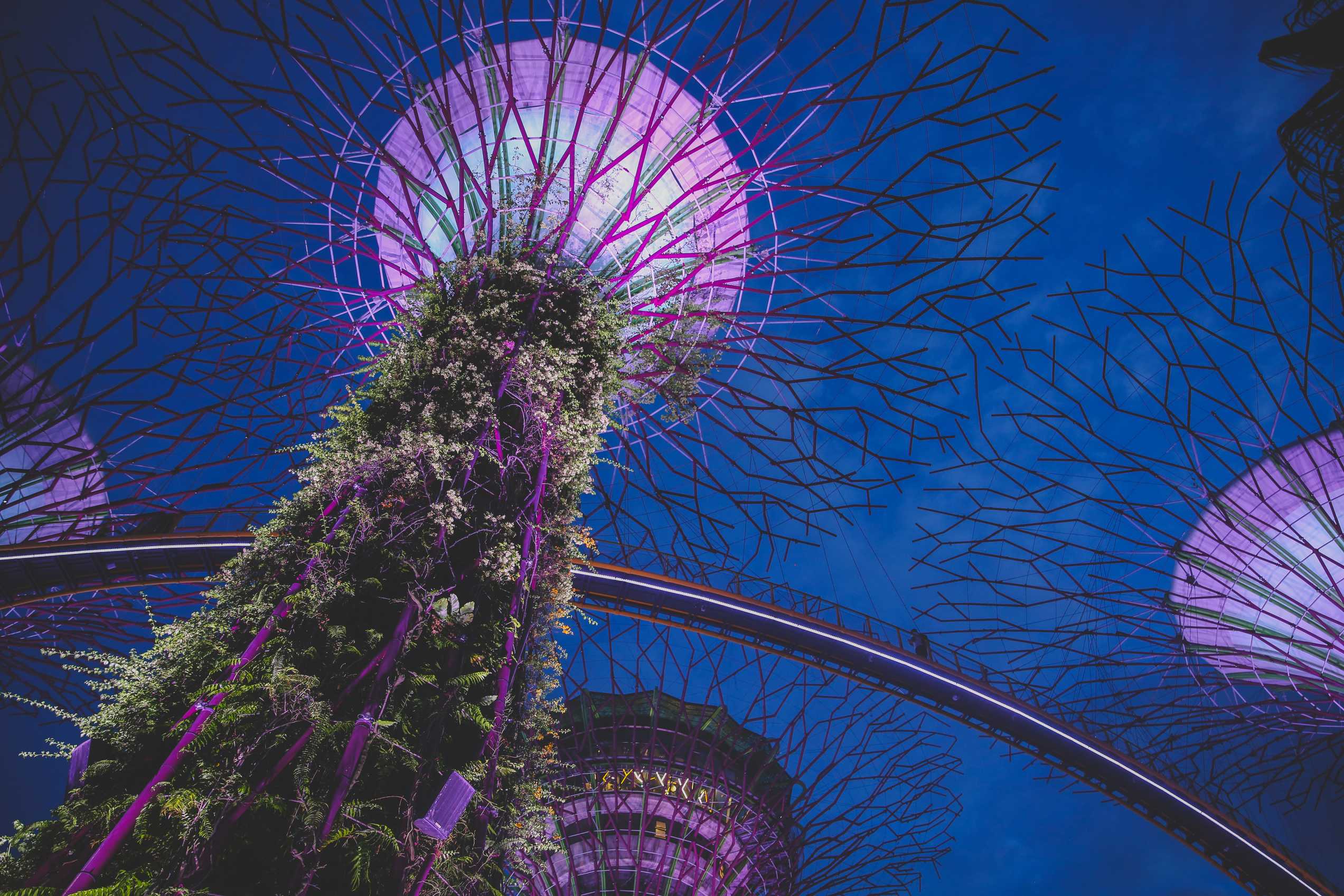 10 Things to Do in Singapore, the Lion City