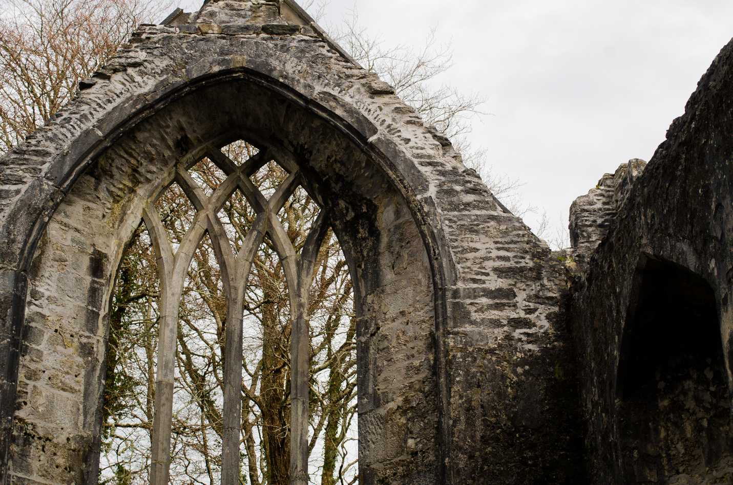 Muckross Abbey window