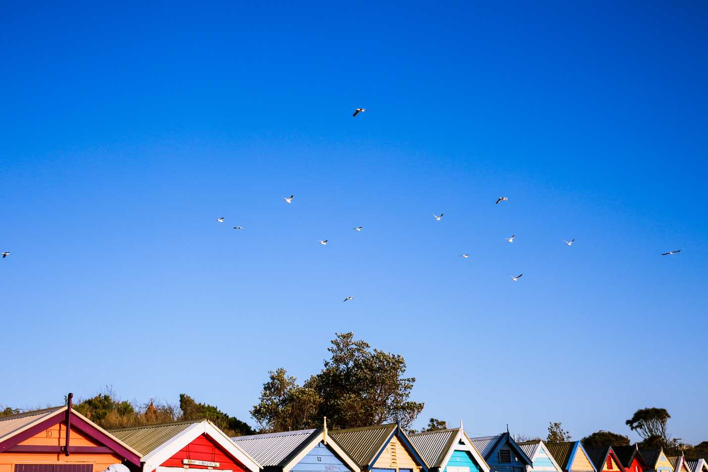 Beach houses in Melbourne