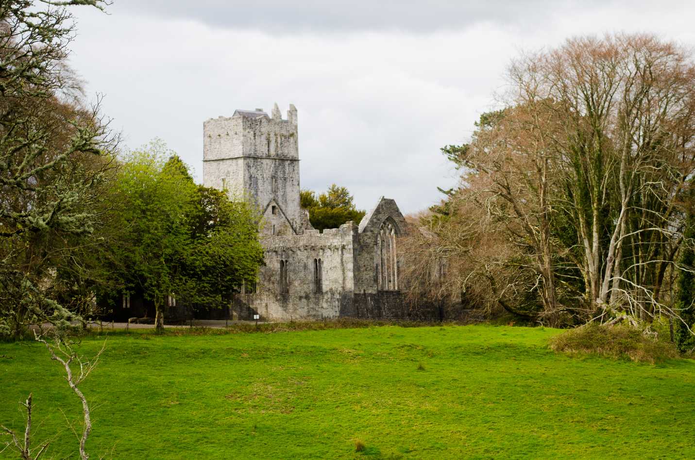 Muckross Abbey on Ring of Kerry