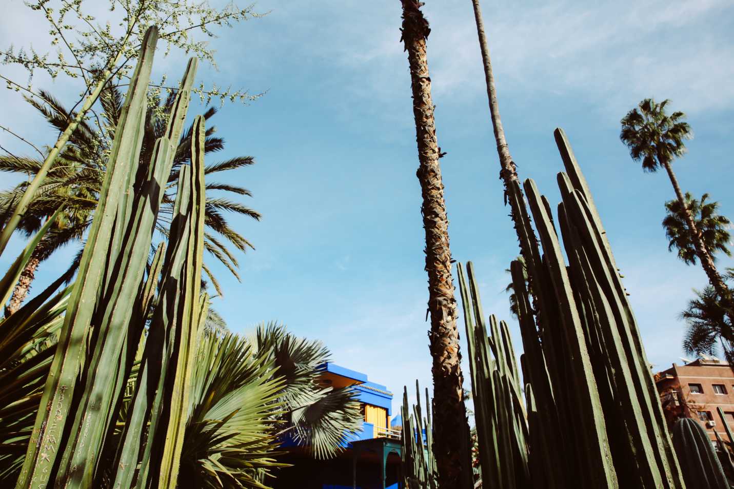 Jardin Majorelle