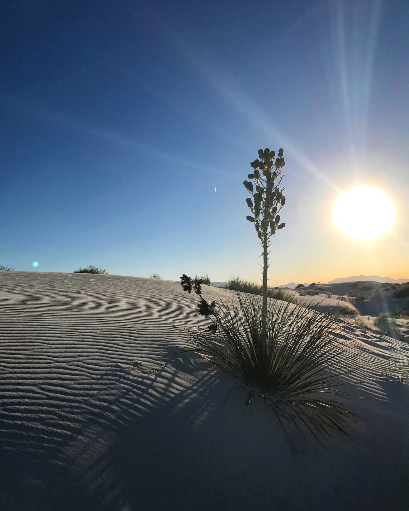 White Sands, NM