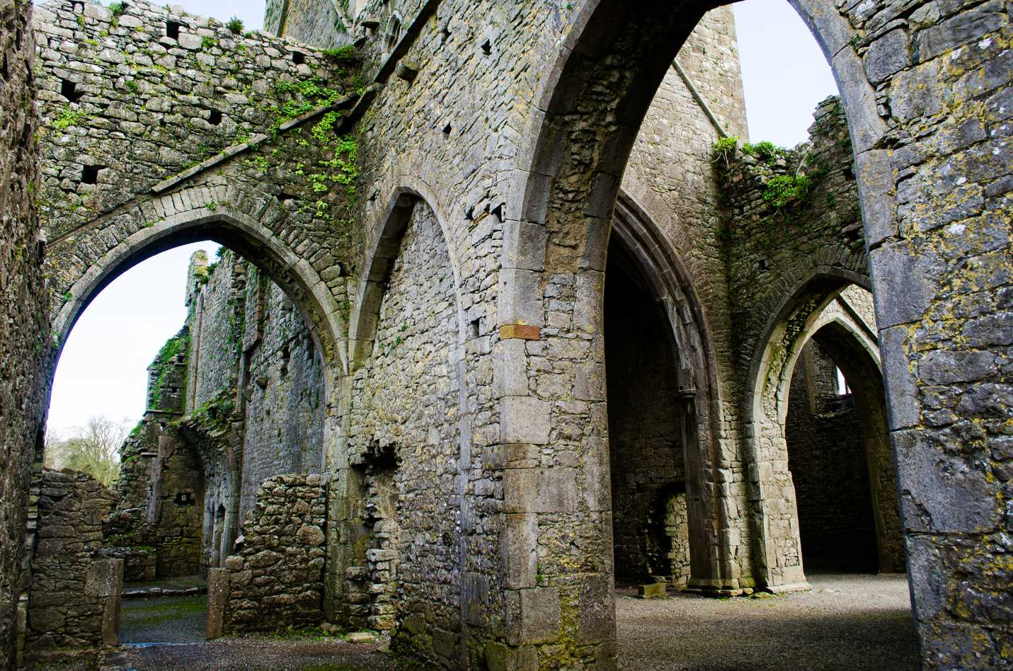 Hore Abbey