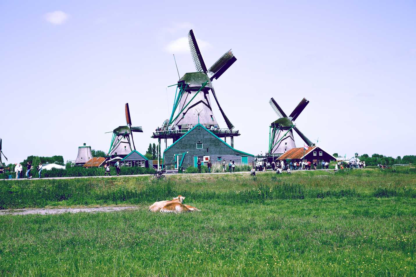Windmills at Zaanse Schans