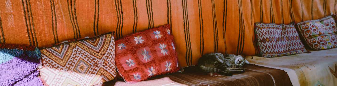 Sleeping Moroccan cat