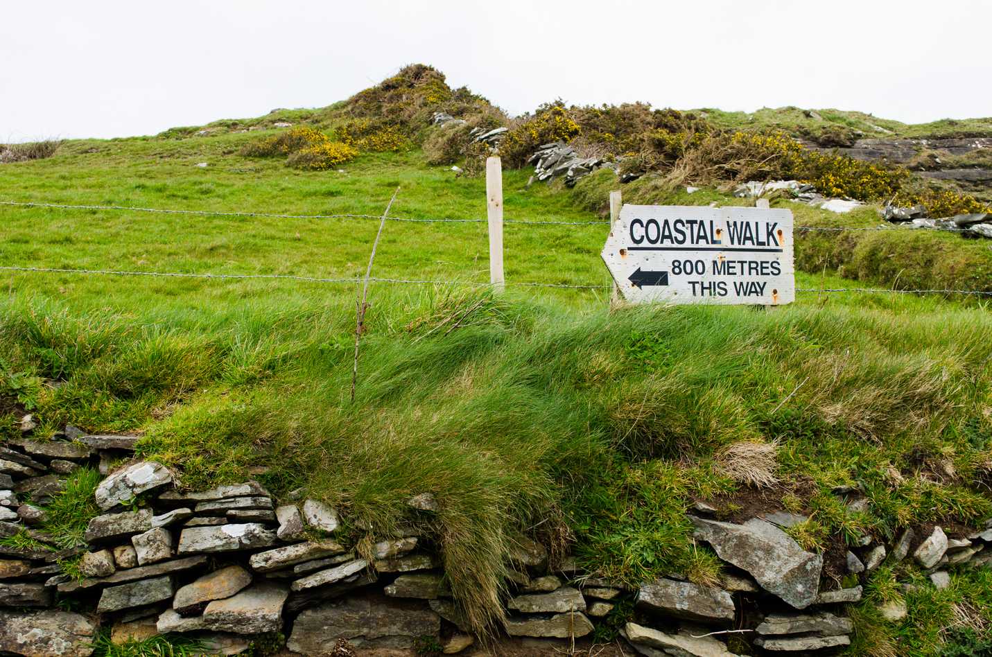 Walking from Hags Head parking to Cliffs of Moher