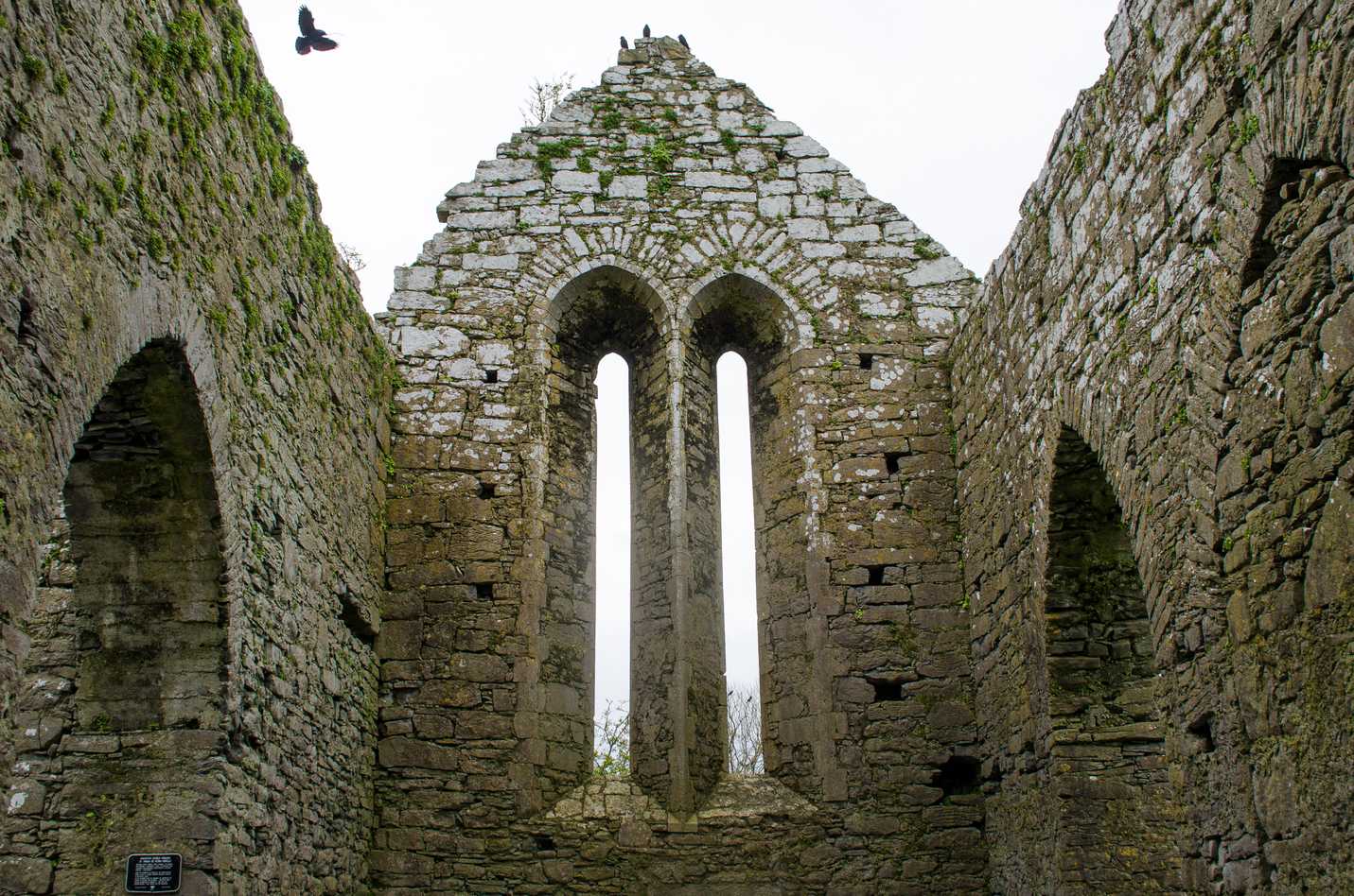 The windows of Corcomroe Abbey